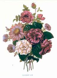 redoute