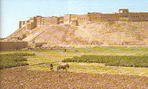 erbil