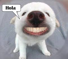 hola_015.jpg