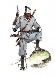 ninja pictures