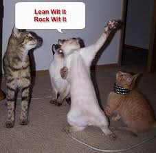 dance cat