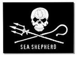 Sea Shepherd members have been