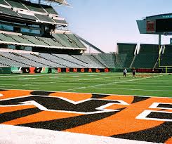 Cincinnati Bengals Field