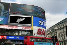 black and silver flag
