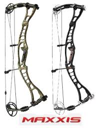 Hoyt 2010: Carbon Matrix,