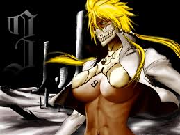 http://t1.gstatic.com/images?q=tbn:StXtebloWAFHxM:http://www.bleachedichigo.com/wp-content/uploads/2009/05/hallibel1.jpg