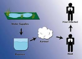 Legionnaires Disease