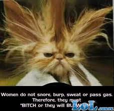 funny pictures of animals