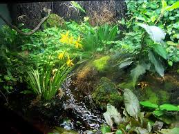 vivarium