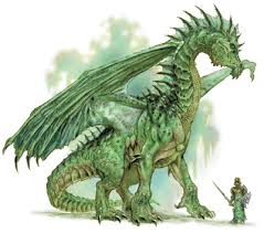 dragon pictures