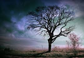 Προβολή εικόνας πλήρους μεγέθους