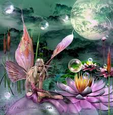 Afficher l'image en taille réelle