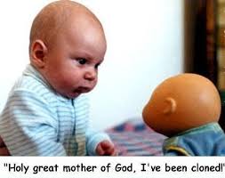 funny pictures for kids