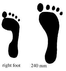 animal tracks clipart