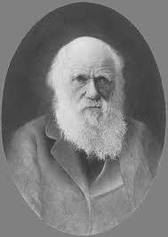 charles darwin charles darwin