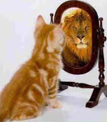 thinkpositive add Daily Advice: 365 Ways to Become a Millionaire