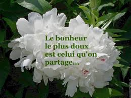 galerie-membre,fleur-pivoine,le-bonheur.jpg