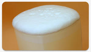fizz