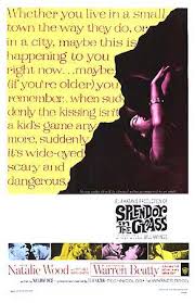 SPLENDOR IN THE GRASS POSTER