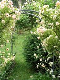 Rose Garden