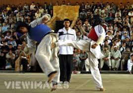 بعض الصور لرياضة التايكوندو Taekwondo_rGUgJ_19968