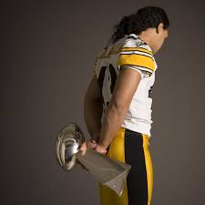 troy polamalu