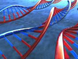 http://t1.gstatic.com/images?q=tbn:WIYJhoIxBdbX5M:http://www.mp3hi5.com/Dep_Genetica.jpg&t=1