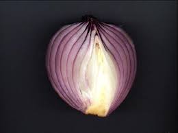 onion