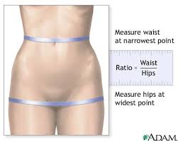 waist