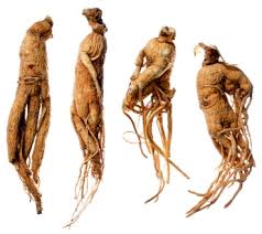 Ginseng: Made of Pure Magic?
