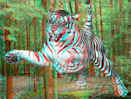 large tiger pictures