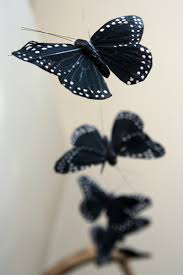 black butterflies