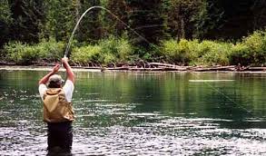 rainbow trout fishing