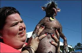 worlds ugliest dog