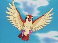 Safari De Fuschia Pidgey