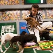 pup PUPPY BOWL: Yep, that sure