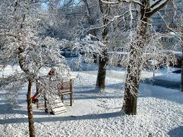 sneeuw.jpg