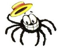 spider-hat.jpg