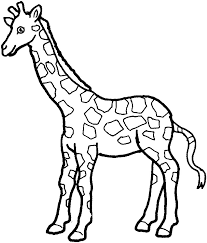 giraffe coloring