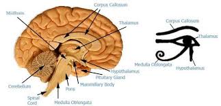eye of ra meaning
