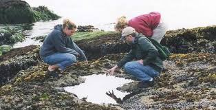 tidepools
