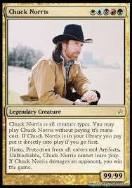 To Spam or not to Spam?!? XII -  39 Chuck-norris-magic-the-gathering-card