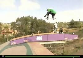 ryan sheckler skating