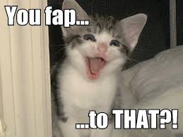 you-fap-to.jpgJPG image