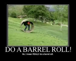 Search Do a Barrel Roll