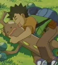 brock pokemon