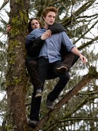twilight photos