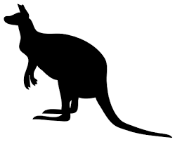 kangaroo