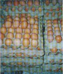 http://t1.gstatic.com/images?q=tbn:ZIX1w8g5JnV-CM:http://nita.goblogmedia.com/images/telur