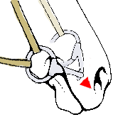 A single jointed snaffle